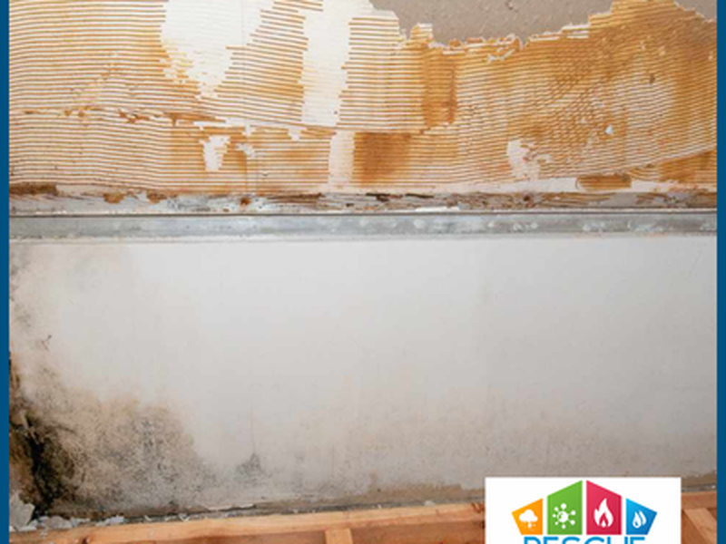 NJ Damage Restoration — Water Damage Restoration crew at work in Hackensack/Paramus/Teaneck/Fort Lee, NJ